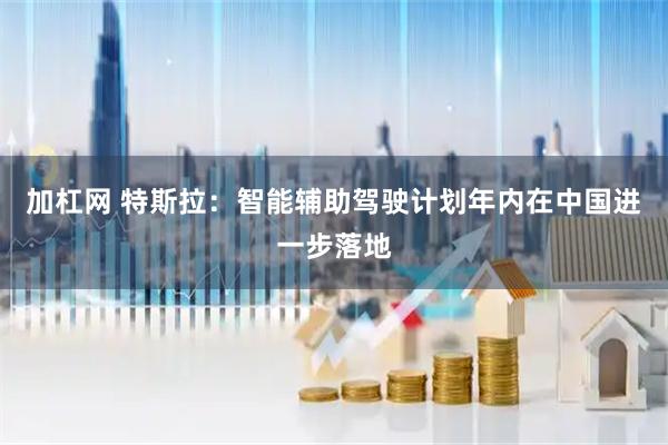 加杠网 特斯拉：智能辅助驾驶计划年内在中国进一步落地