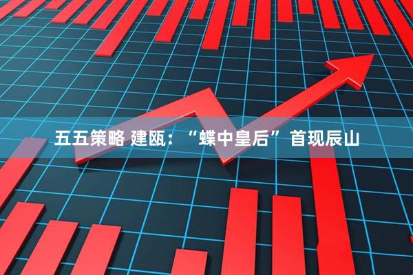 五五策略 建瓯：“蝶中皇后” 首现辰山