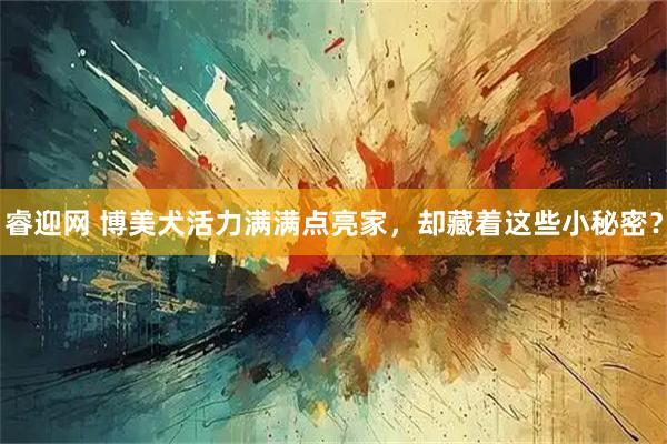 睿迎网 博美犬活力满满点亮家，却藏着这些小秘密？