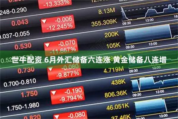 世牛配资 6月外汇储备六连涨 黄金储备八连增