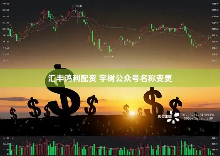 汇丰鸿利配资 宇树公众号名称变更